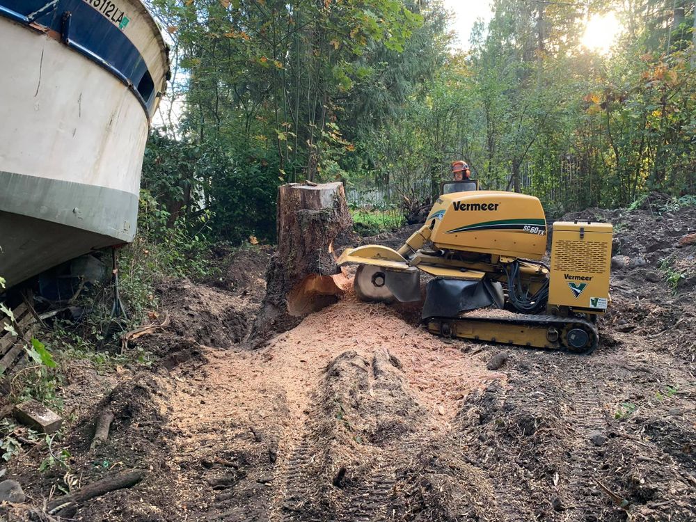 Our Stump Grinding service efficiently removes tree stumps from your property, enhancing safety and aesthetics while preparing the area for new landscaping or construction projects. Enjoy a clean, beautiful yard effortlessly. for Wilderness Stump Grinding in Orting, WA