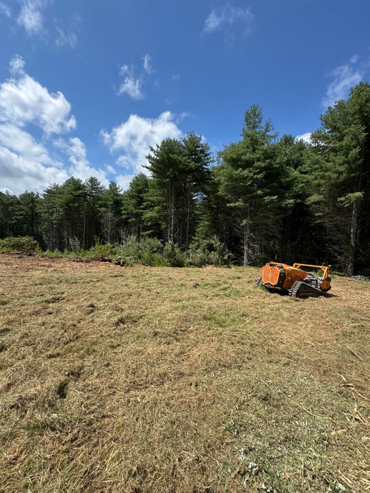 Our land clearing service expertly removes unwanted vegetation, debris, and obstructions to transform your property. Discover what is land clearing and enhance your landscape with safe, efficient practices tailored for homeowners. for Mountain Goat Land Management in Galax, VA