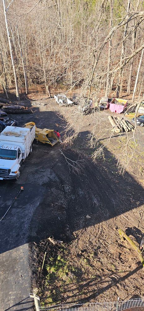 All Photos for Hamlett Tree Service LLC in Clover, VA