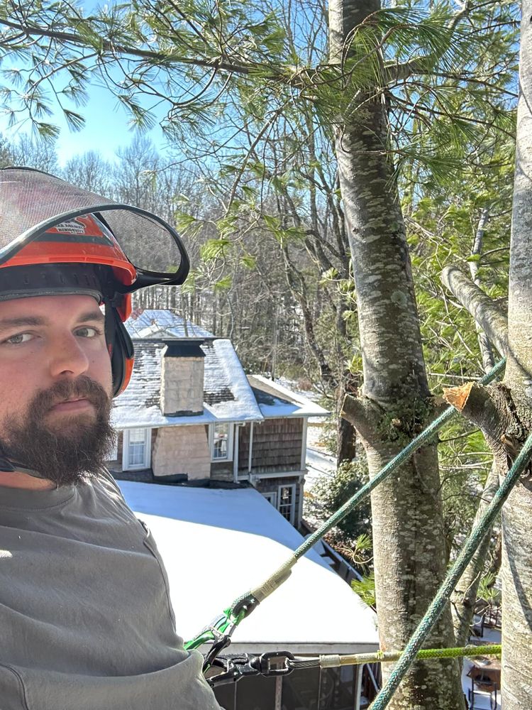 Tree Removal for McBee’s Tree Service in Sewanee, TN