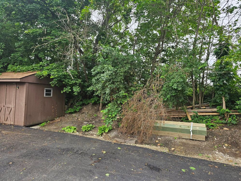 Tree Removal for I and R Stump Grinding in Thornville, OH