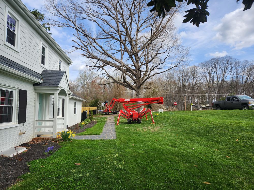 All Photos for Smith Tree Experts in Palmyra, VA