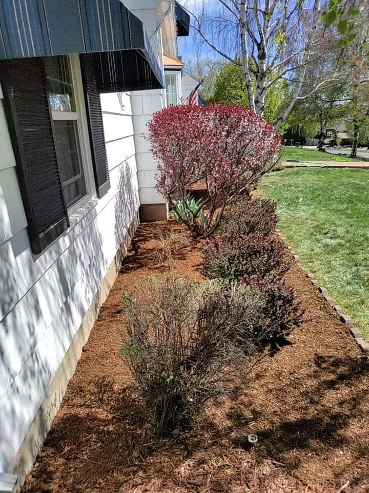 Our Shrub Trimming service ensures your landscape stays well-manicured and healthy, enhancing curb appeal. Trust our skilled team to expertly shape and maintain your shrubs for a beautiful yard. for Bernal's Lawn Care/Tree Service in Klamath Falls,  OR