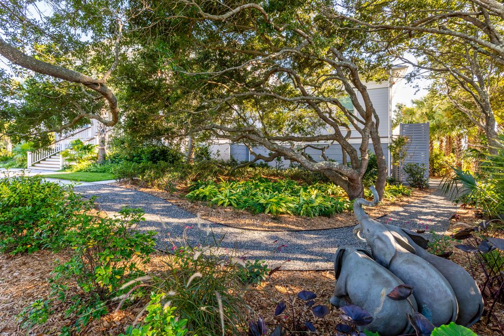 Landscape installation for CW Earthworks, LLC in Charleston, South Carolina