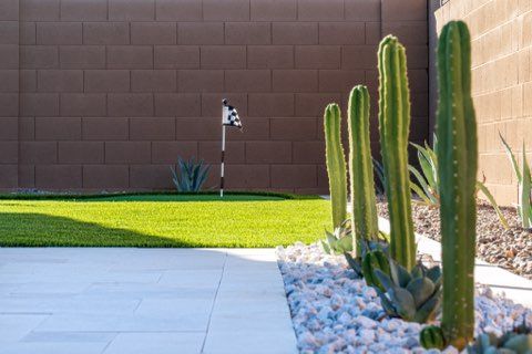 All Photos for All Green Landscapes in Phoenix, AZ