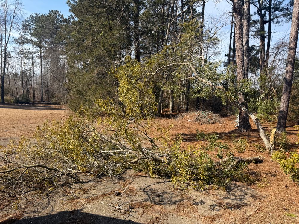 All Photos for Southern Outdoors Landscaping in Covington, GA