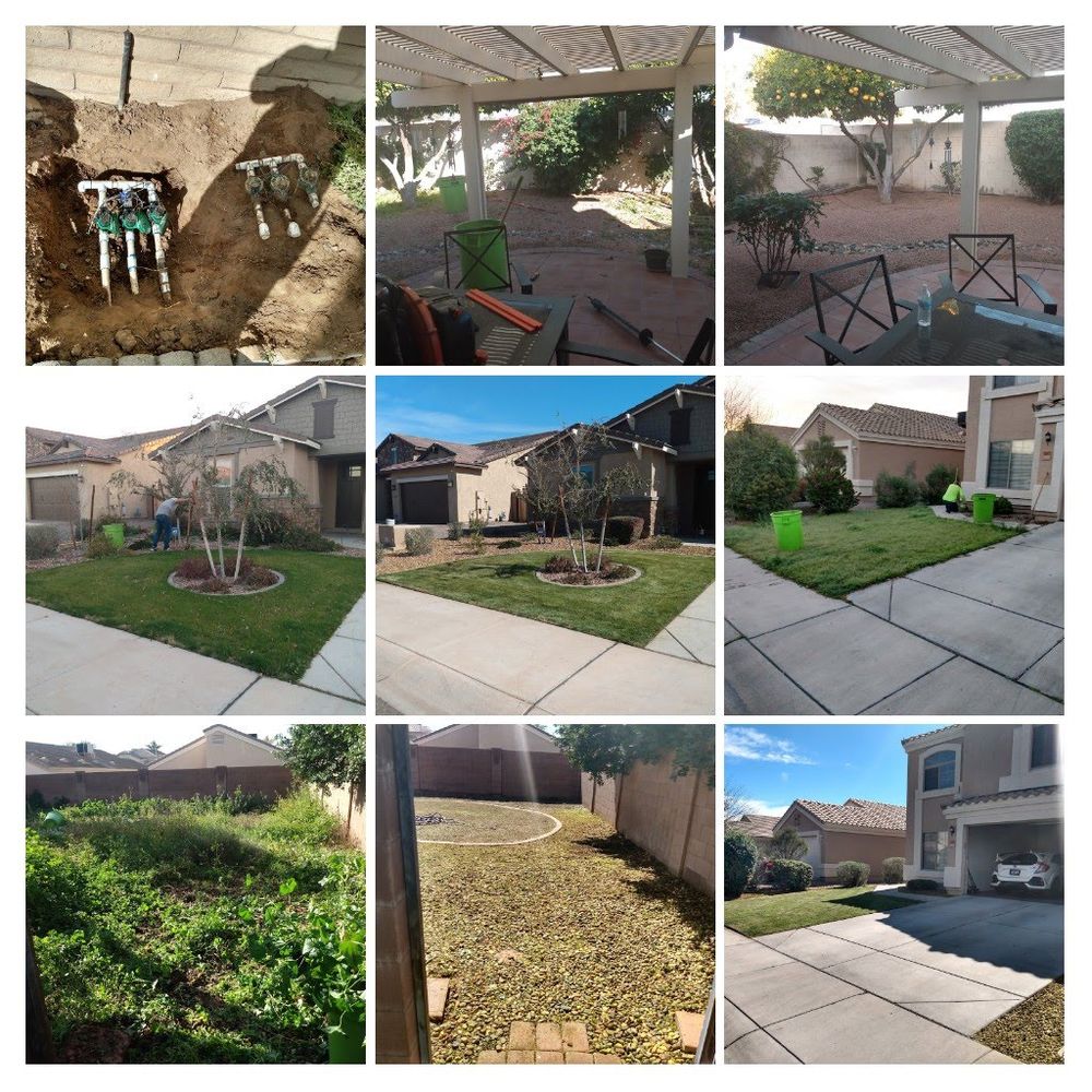 Shrub triming for Sharp Image LLC Landscaping & Hardscape in Phoenix, AZ