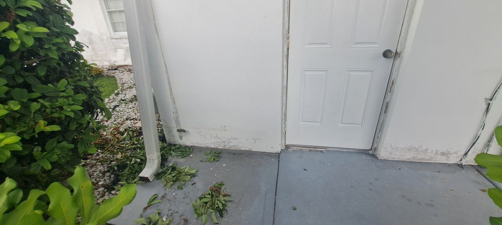 All Photos for Perfection Custom Painting LLC in Port Charlotte, FL