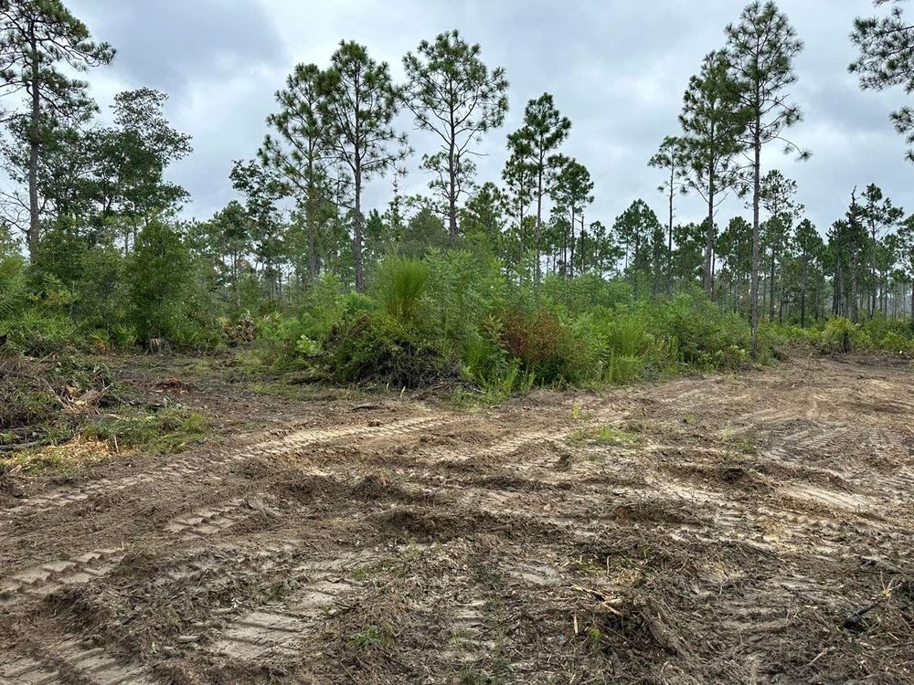 All Photos for White’s Land Maintenance in Milton,, FL