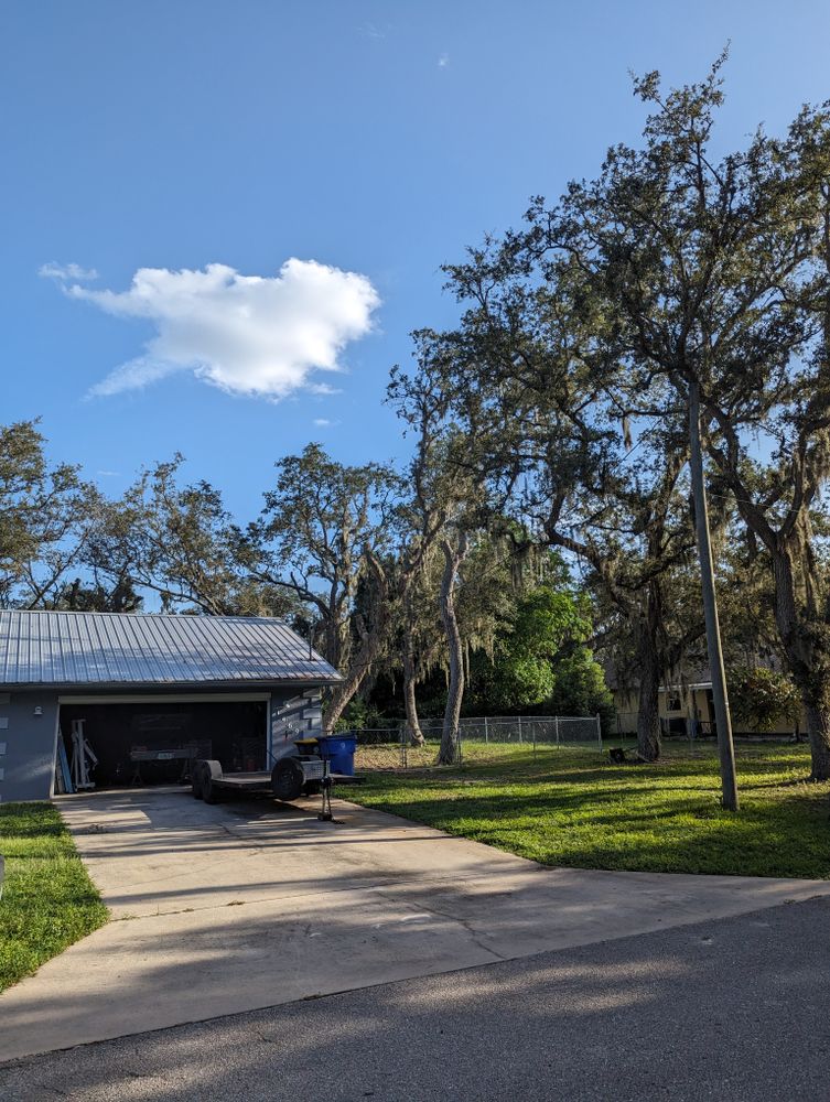 All Photos for Regal Tree Service and Stump Grinding in Wauchula, FL