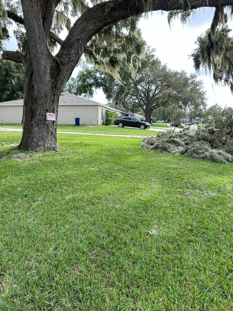 All Photos for Estrada All Pro Lawn Service in Auburndale, Florida