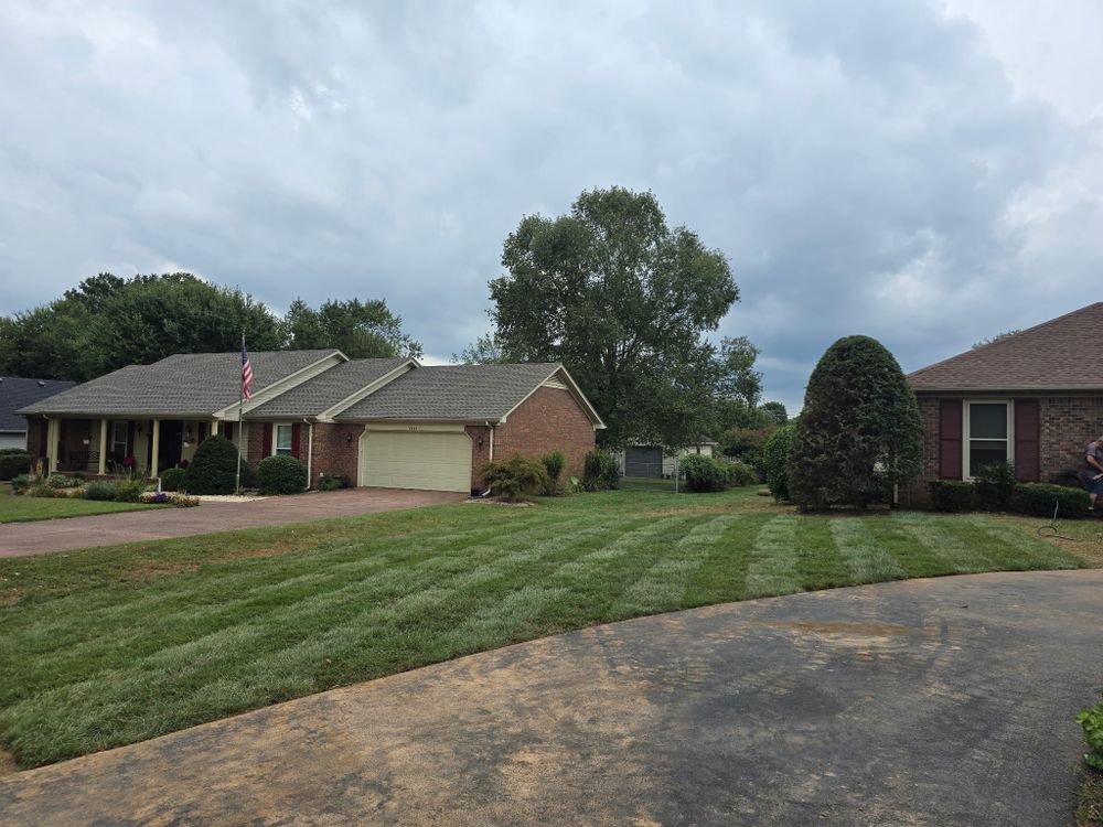All Photos for Optimum Tree Service And Landscaping in Bowling Green, KY