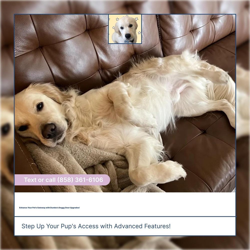 All Photos for Dumbo's Doggy Doors in City of Sammamish, WA