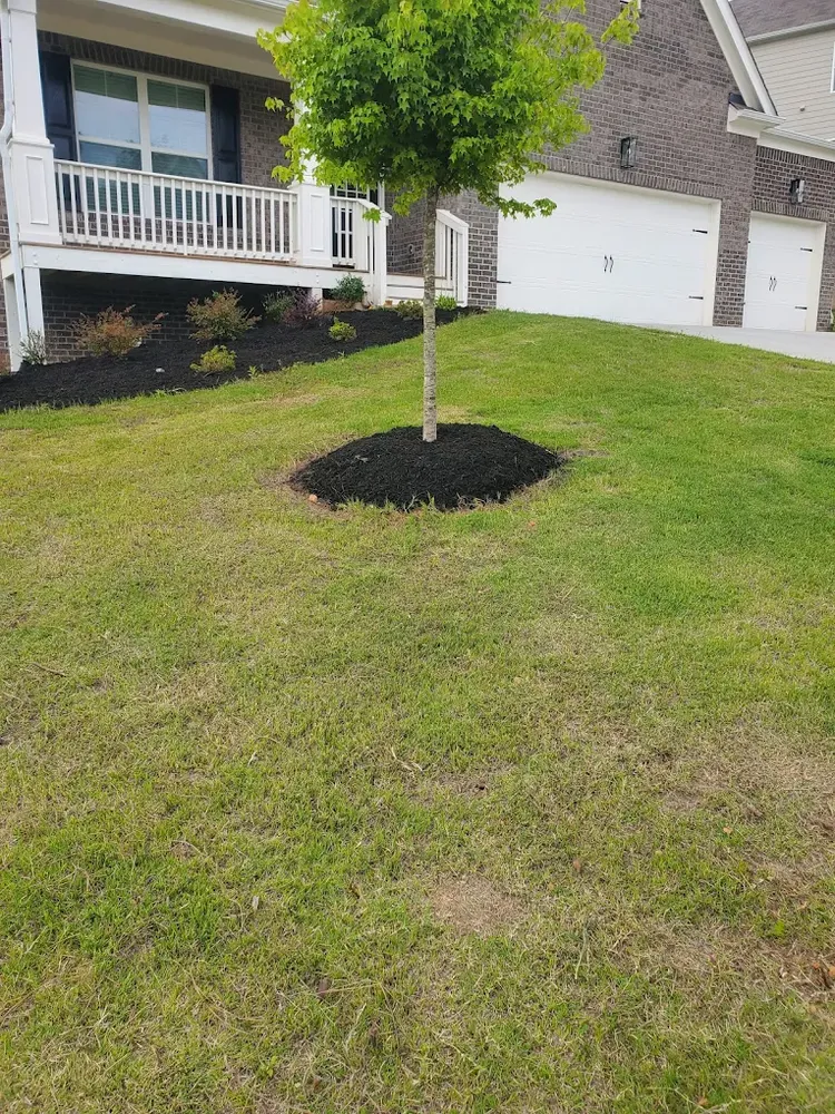 Our professional mowing service ensures a pristine, healthy lawn by providing precise cuts, regular maintenance, and expert care tailored to your yard's unique needs for optimal growth and beauty. for Palmour's Lawn Care in Gainesville, GA