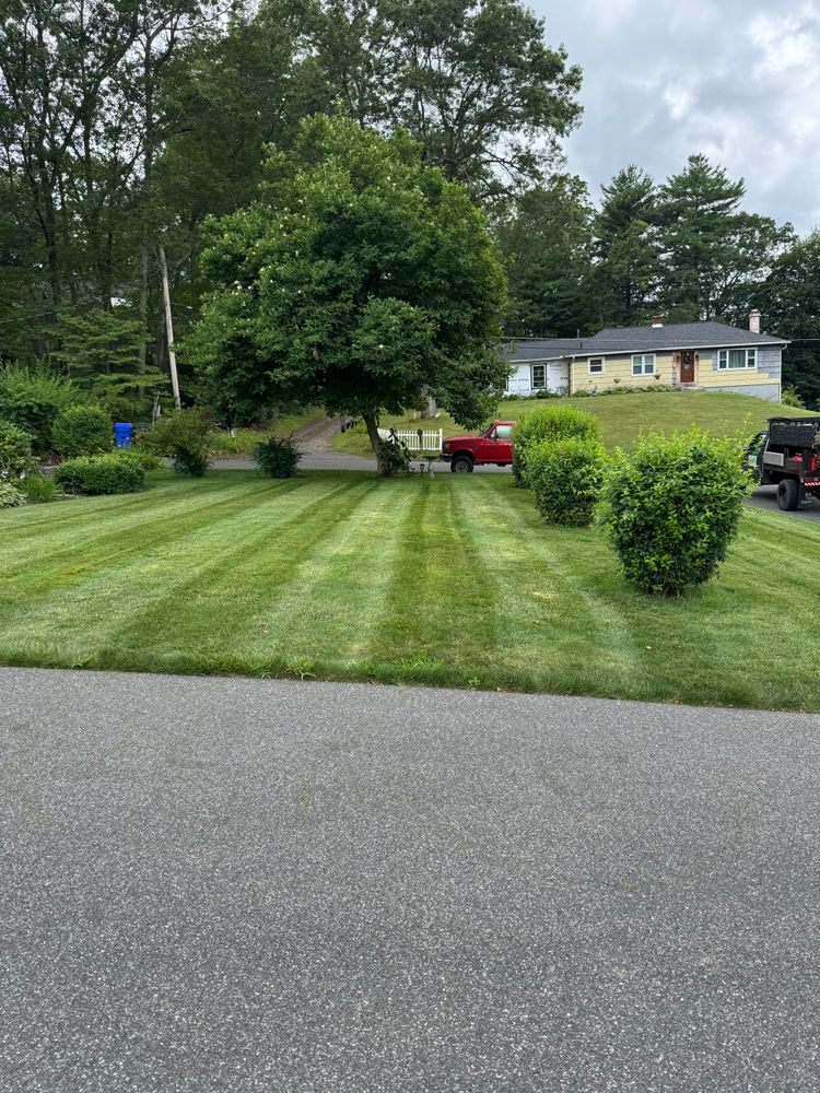 All Photos for Adams Landscaping in Springfield, MA