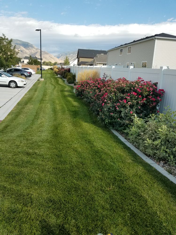 All Photos for Platinum Lawn Service in Santaquin, UT