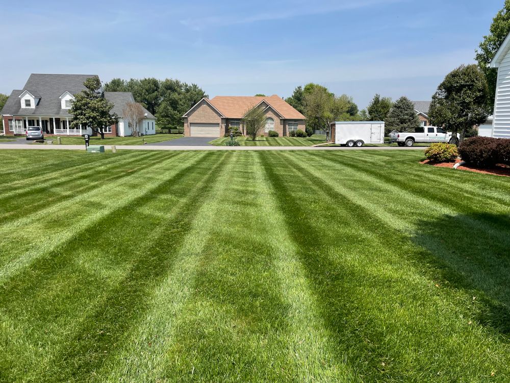 All Photos for Transforming Landscaping & Tree Service in Bowling Green, KY