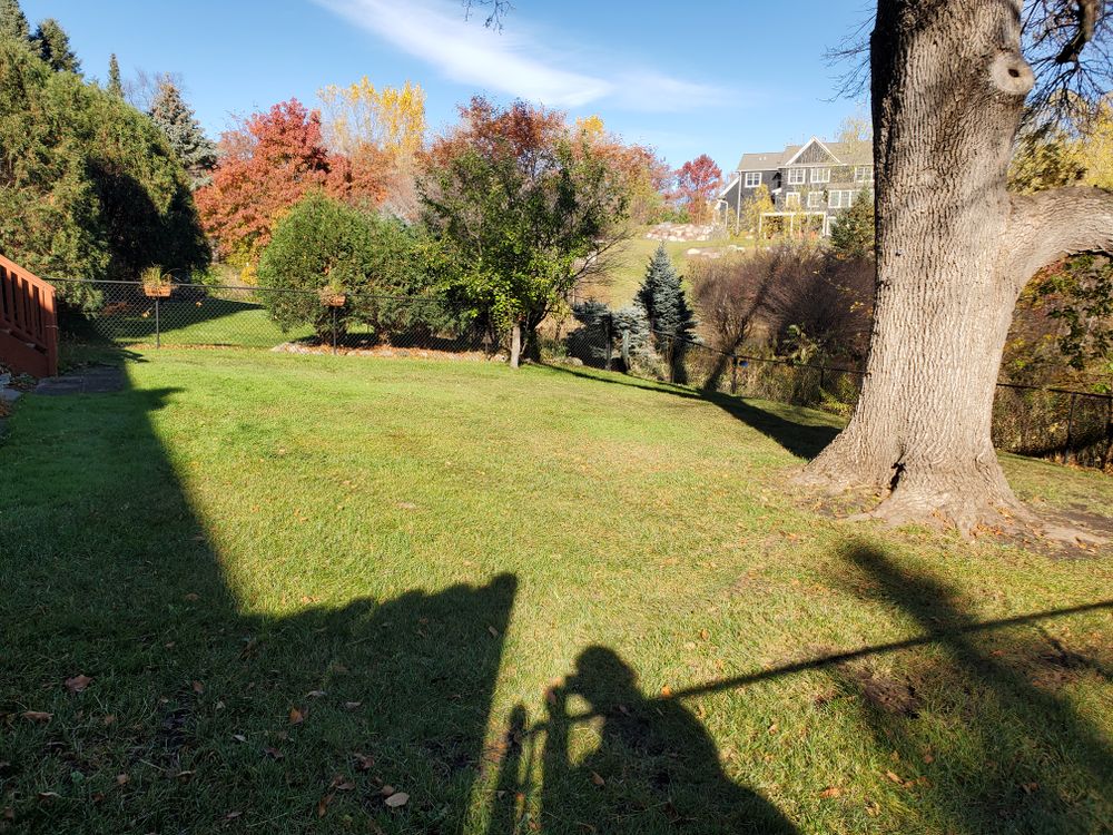 Fall clean up  for K & I Lawn Care Service  in Eden Prarie, MN