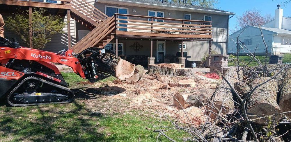 Tree Removal for Lawn Ranger Yard And Tree Service LLC in Ottumwa, IA