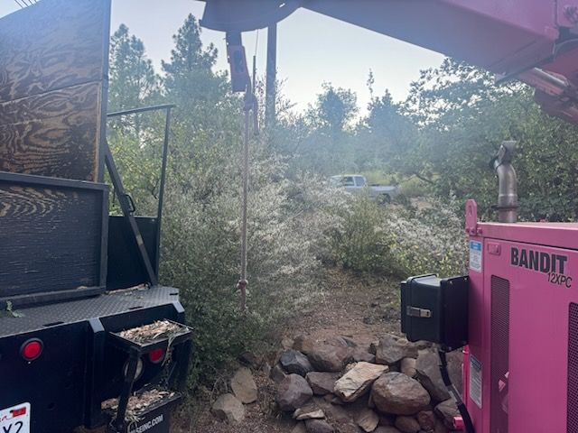 Property Clean Up for The Tree Fairy in Temecula, CA