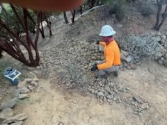 Property Clean Up for The Tree Fairy in Temecula, CA