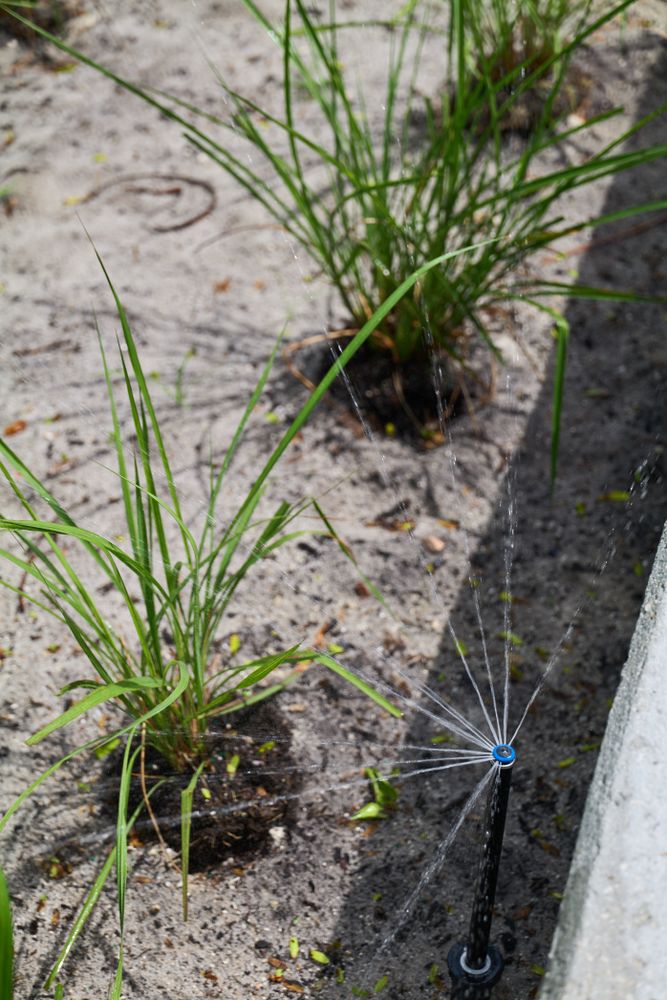 Irrigation for Arazoza Brothers Corporation in Miami, FL