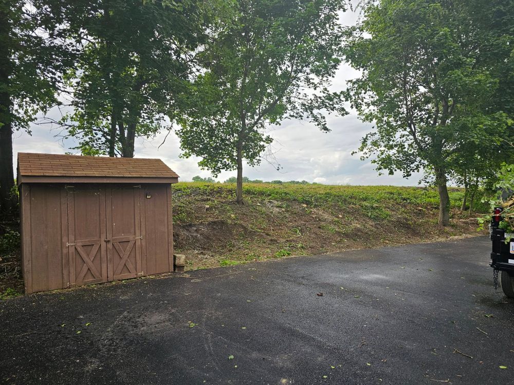 Tree Removal for I and R Stump Grinding in Thornville, OH
