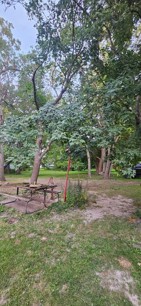 All Photos for Highborn Tree Service in Wheatfield, IN