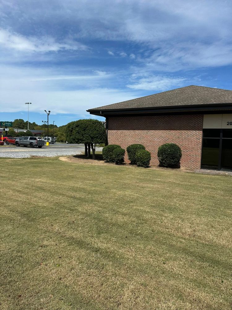 All Photos for Buddy’s Outdoor Solutions in Rome, GA