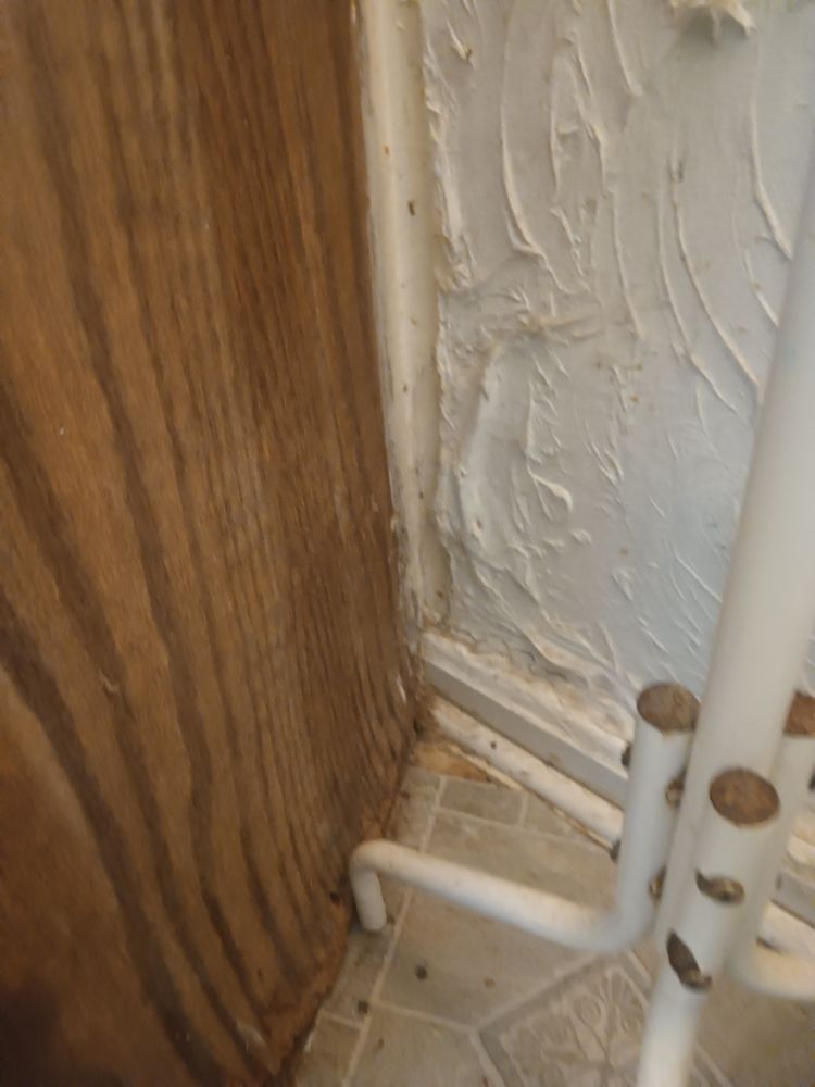 Bathroom overhaul for Ins & Outs Home Repair, LLC in Madison County, IL