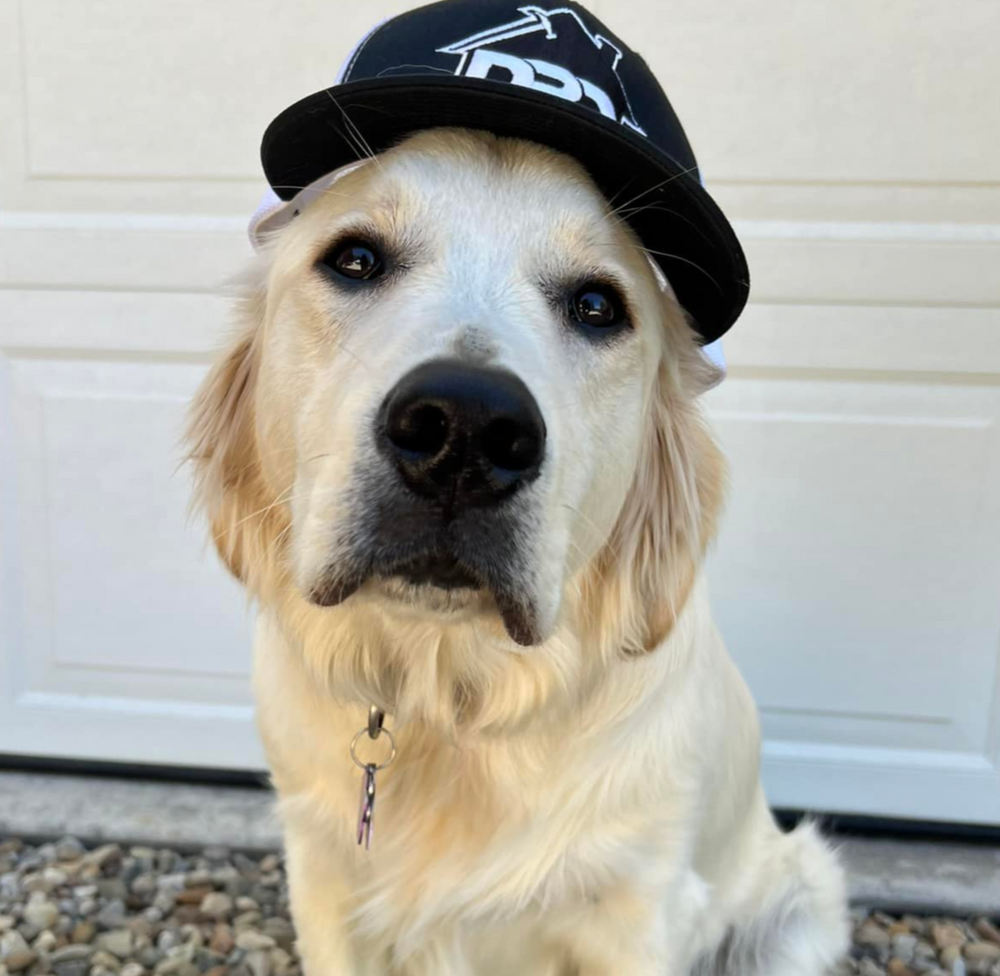 DPD Construction team in Cadiz Township, OH - people or person