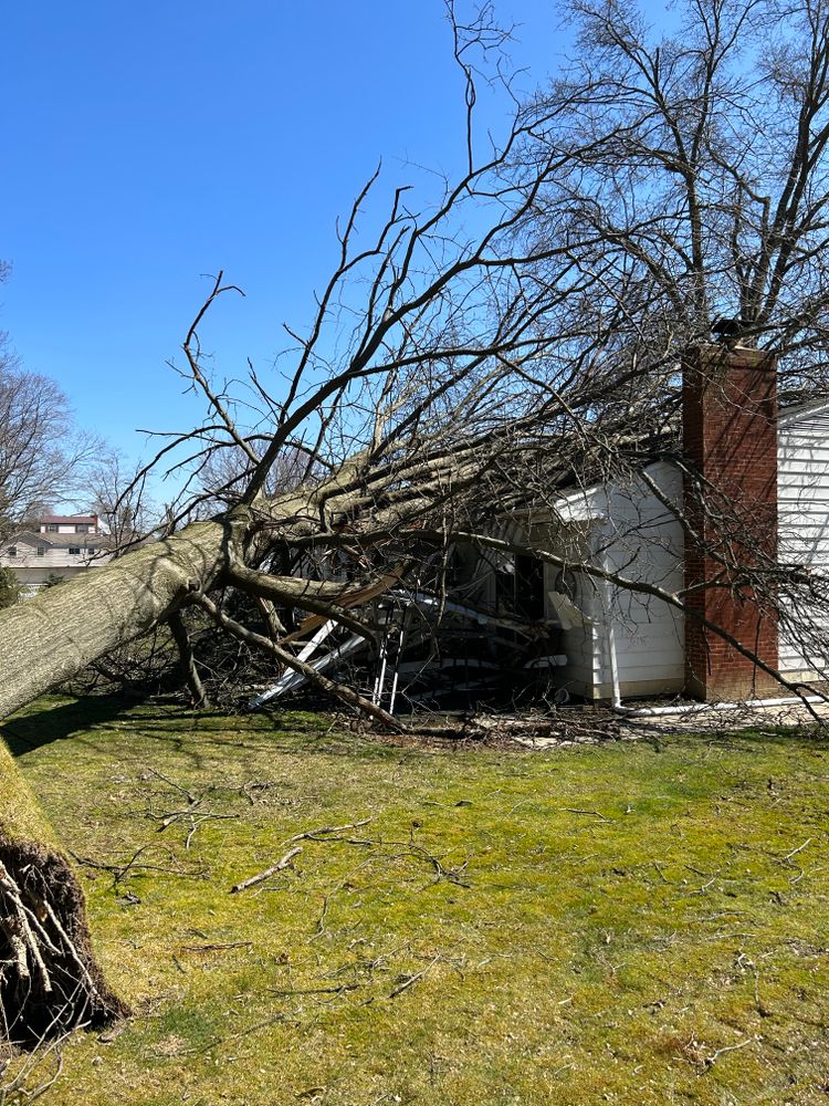 Emergency services  for JJ Tree Service in Gibsonia, PA