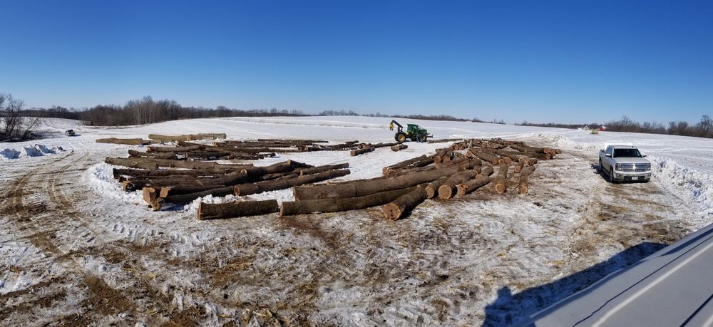 Logging for Pure Iowa Logging in Cedar Rapids, Iowa