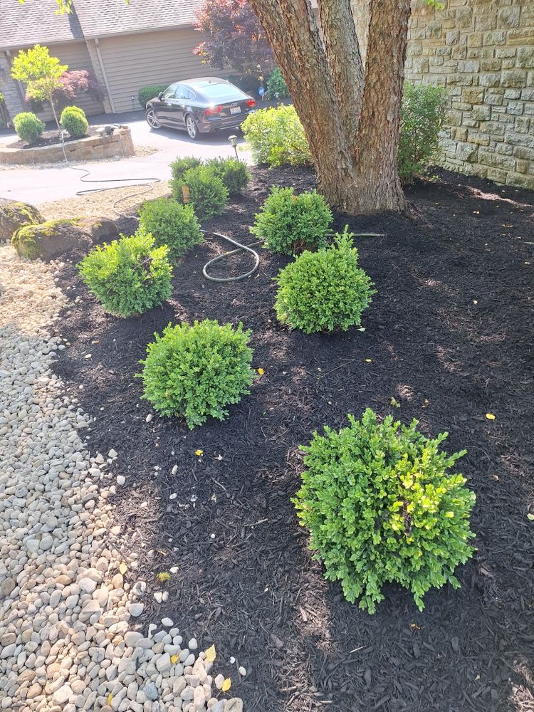 All Photos for Cincinnati’s Finest Landscape Services LLC in Cincinnati, OH