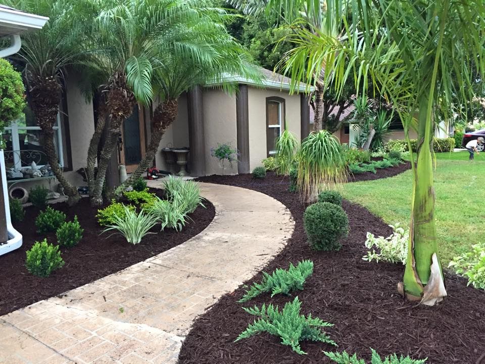 Landscaping for Plant World LLC in Cape Coral, FL