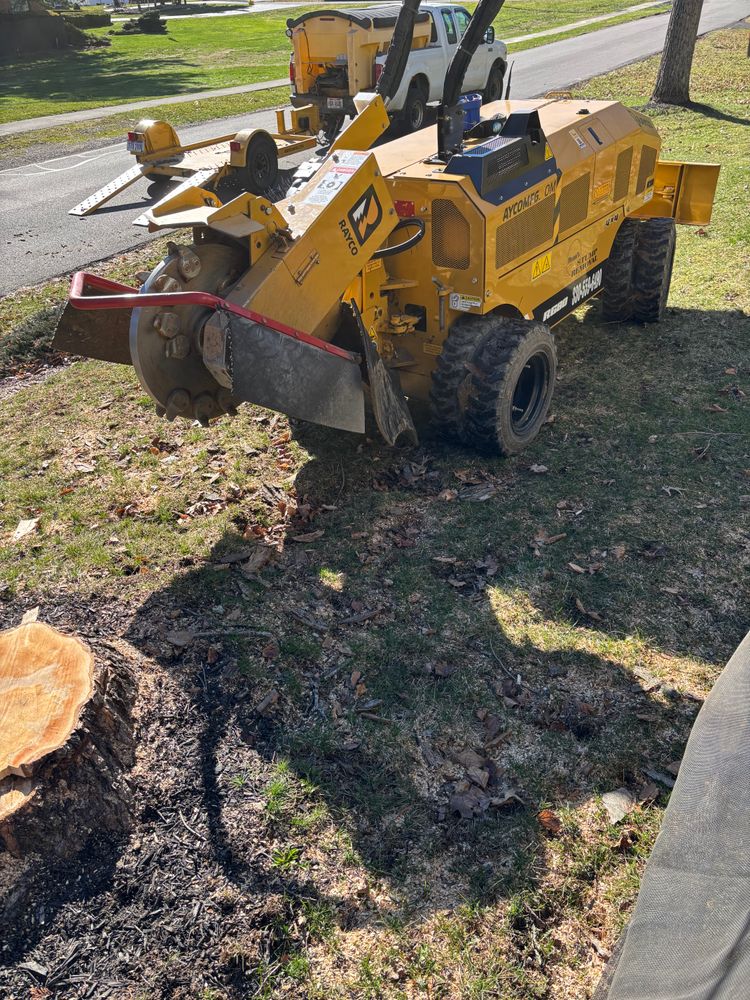 All Photos for Dean's Stump Removal in Youngstown, OH