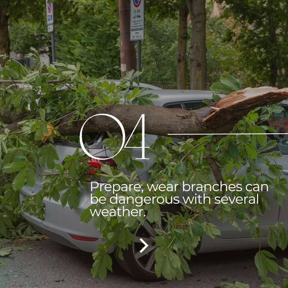 All Photos for Oakwood Tree Removal LLC in Oak Creek,  WI