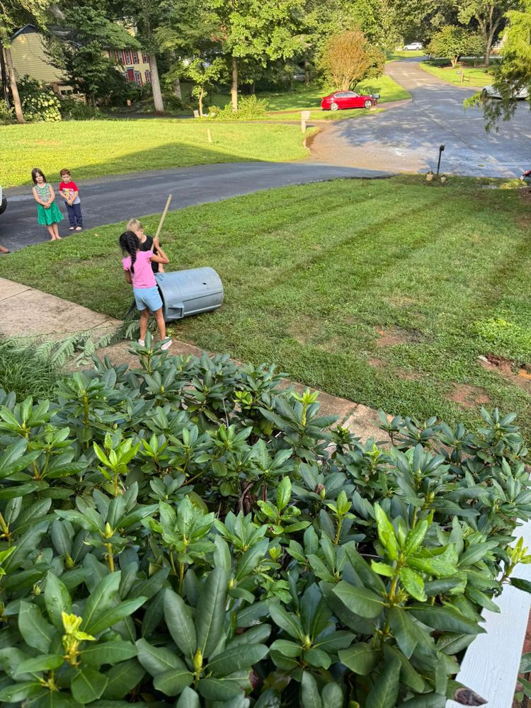 Landscaping & Hardscaping for D&G Pro Cut LLC in Greensboro, North Carolina