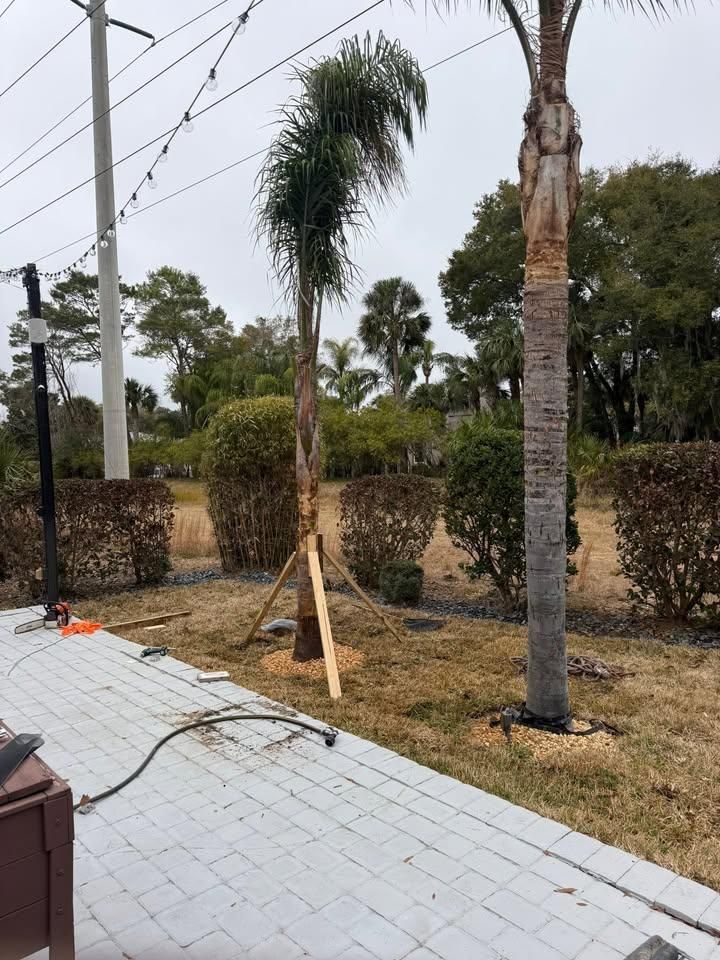All Photos for Grind Time Tree Service in Daytona, FL