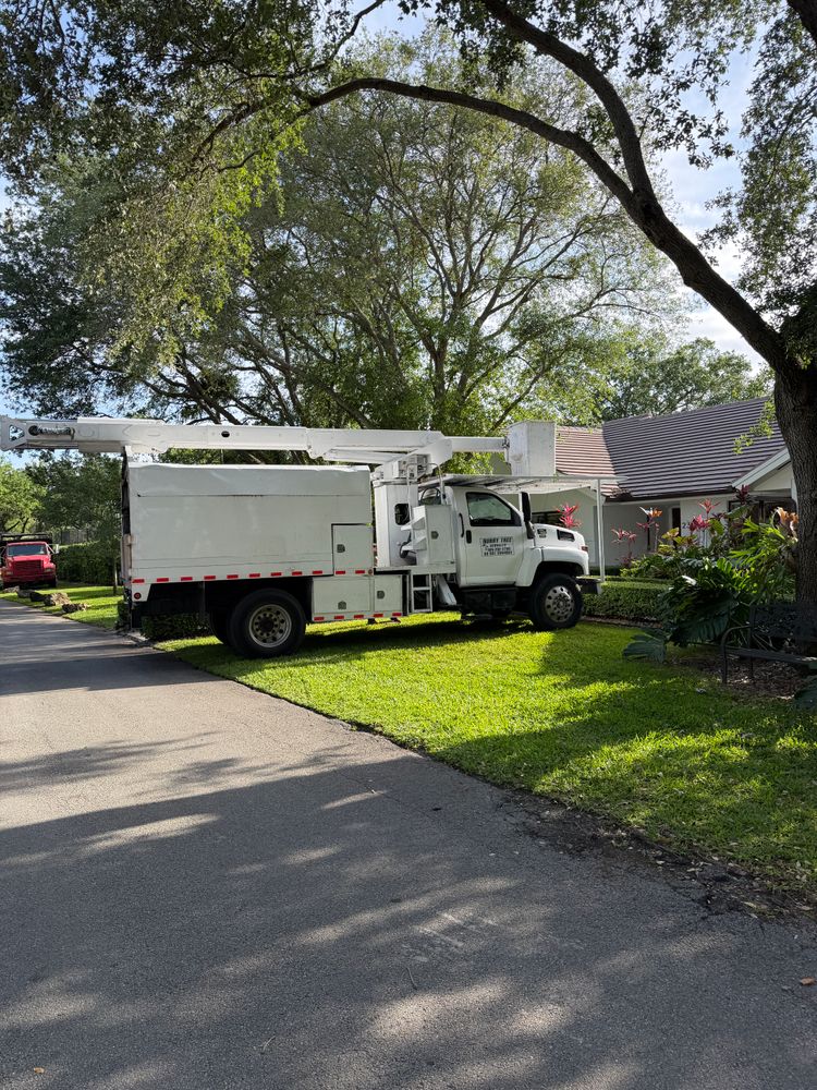 All Photos for Regional Land Construction in Miami, FL