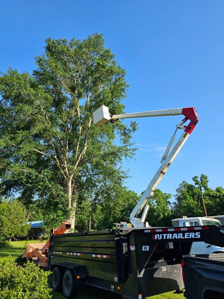 Enhance the beauty and health of your landscape with our expert tree trimming service, ensuring safety, promoting growth, and maintaining aesthetic appeal for your trees with precision care. for Breaktime Tree Trimming & Removal in Oakdale, LA