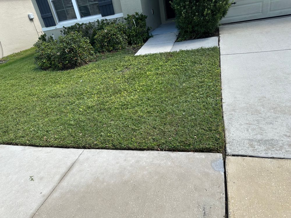 All Photos for The Yardman in Tampa, FL