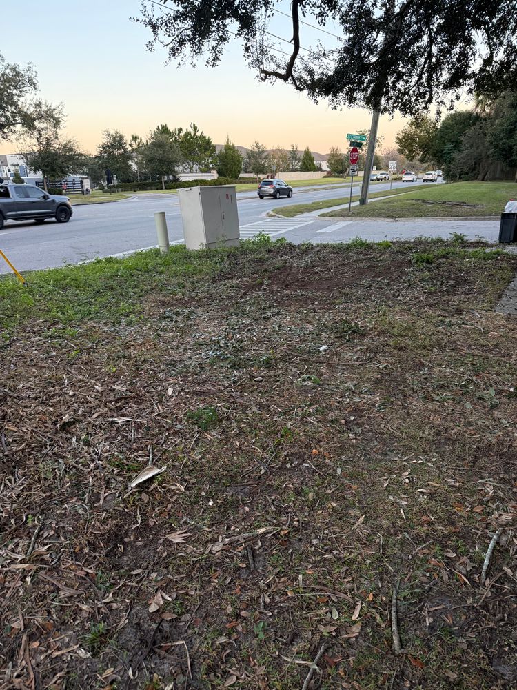 All Photos for Amerigrown Tree And Lawn in Apopka, FL