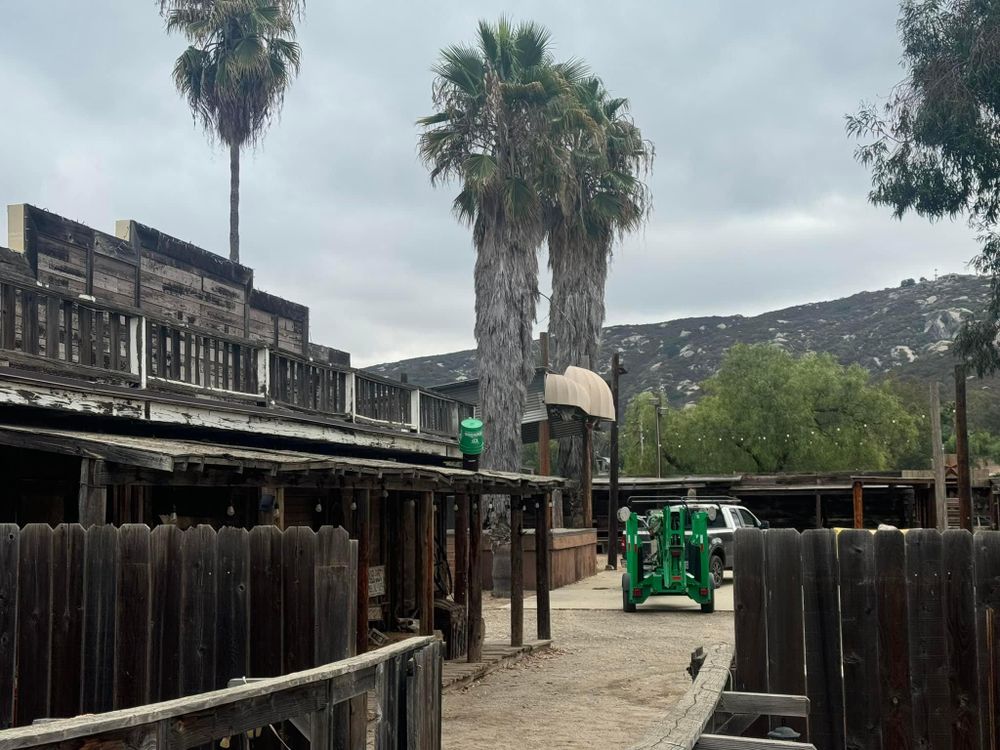 Property Clean Up for The Tree Fairy in Temecula, CA