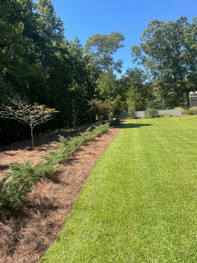 All Photos for Palmetto State Landscaping in Gaffney, SC