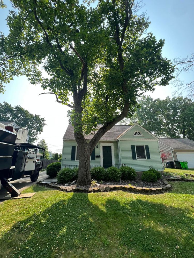 Tree Removal for Down To Earth Tree Service, LLC in Olmsted Falls, OH