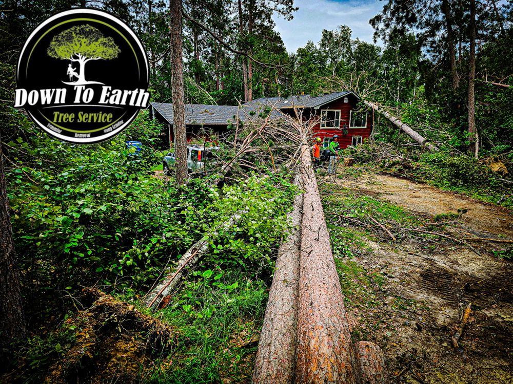 All Photos for Down To Earth Tree Service in Red Wing,  Minnesota