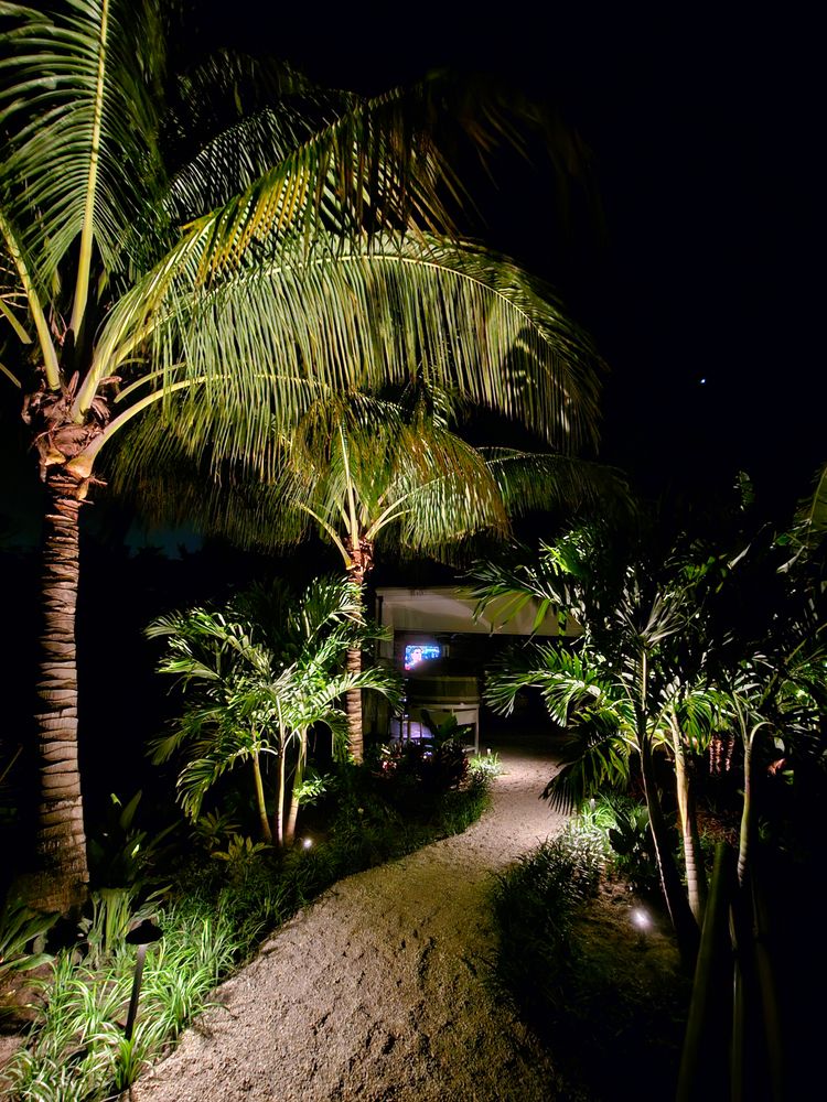 Landscape Lighting for Natural View Landscape, Inc.  in Loxahatchee, FL