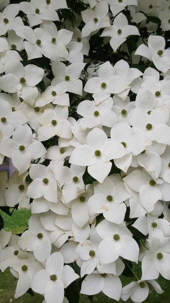 All Photos for Evolution Earthscapes, LLC in Ludlow, MA