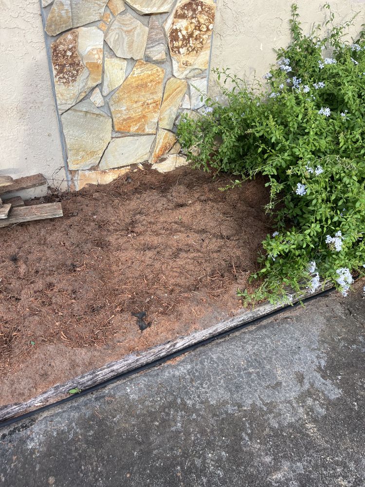 All Photos for KB’s Stump Removal in Seminole, FL